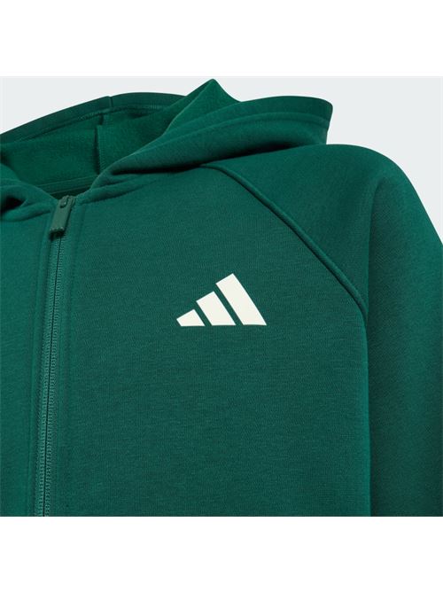 j clgt fz hd ADIDAS | KS5142CGREEN IVORY